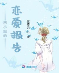 宋小姐是什么电视剧