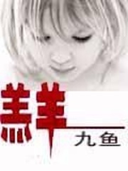 羔羊胃