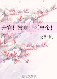 升官发财死后宫笔趣阁