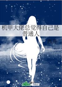 什么是机甲大师