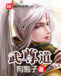 武尊道小说