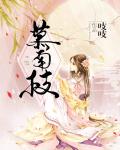 慕南枝（嘉南传）