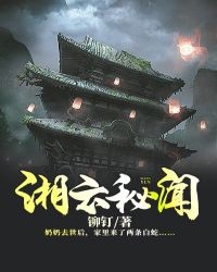 湘云秘闻境界
