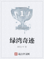 绿湾奇迹TXT下载