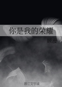 你是我的荣耀剧情介绍