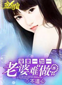 宠妻一加一老婆难做小说