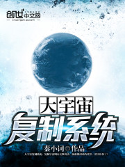 大宇宙复制系统