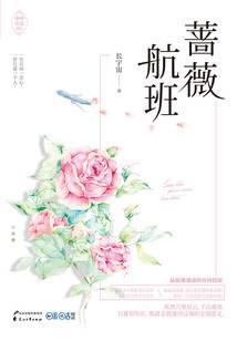 蔷薇航班小说txt