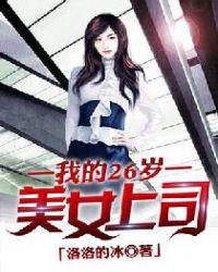 我的26岁美女董事长精校版下载