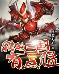 我的三国有点猛免费读