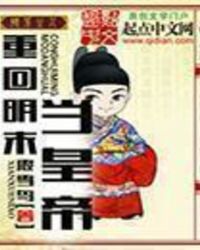 回到明末当帝王顶点
