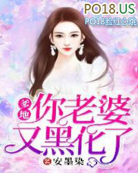 你老婆又黑化了小说