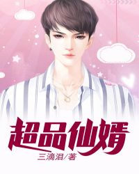 超品仙婿TXT下载