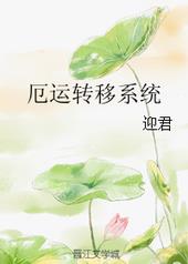 厄运转移系统小说