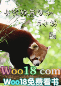 小熊猫 小说