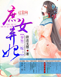 奉旨二嫁庶女弃妃小说