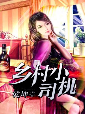 超级小司机小说免费阅读全文