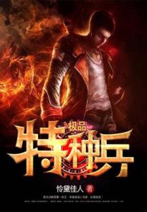 极品特种兵小说