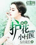 极品护花小村医下载