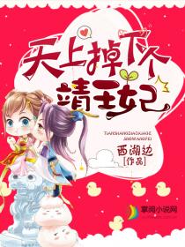 天上掉下个靖王妃全文免费阅读