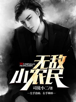 小说无敌小农民