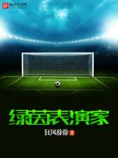 绿茵表演家 txt