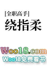 全职攻略游戏 小说
