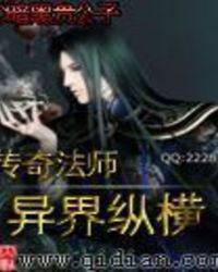传奇法师异界纵横 聚合中文网