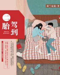 二胎驾到长篇小说
