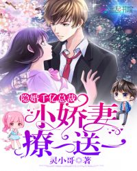 隐婚总裁甜宠