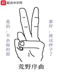 歌曲 荒野