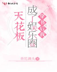 穿书后我成了娱乐圈天花板 杏花满头类似小说