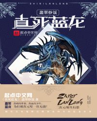 蓝龙科技直装