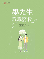 墨先生求轻宠 小说