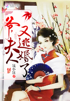 爷:夫人又逃婚了