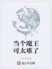 当个魔王可太难了 半伤不破