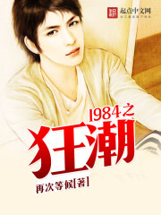 1984之狂潮TXT免费下载