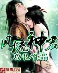 神 风 流 史