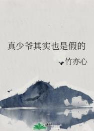 真少爷其实也是假的 竹亦心TXT下载