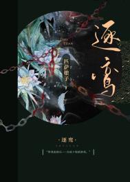 逐鸾女主骗了男主什么小说