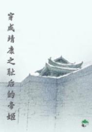 穿成靖康之耻后的帝姬作者by