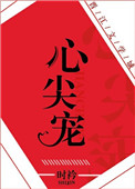 心尖宠娱乐圈小说全文免费阅读