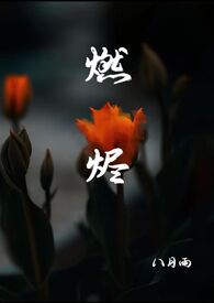 燃烬小说
