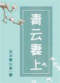 青云妻上小说全文免费阅读