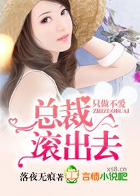 只做不爱的小说推荐