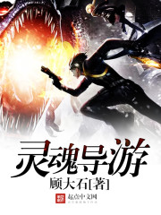 灵魂导游TXT免费下载