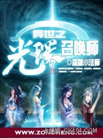 异世之光环召唤师 小说