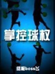 掌控球权完结版TXT下载