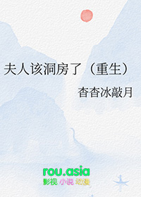 夫人该洞房了重生小说