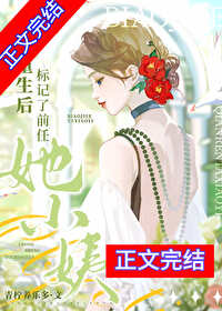 重生后标记了前任她小姨全文免费阅读笔趣阁